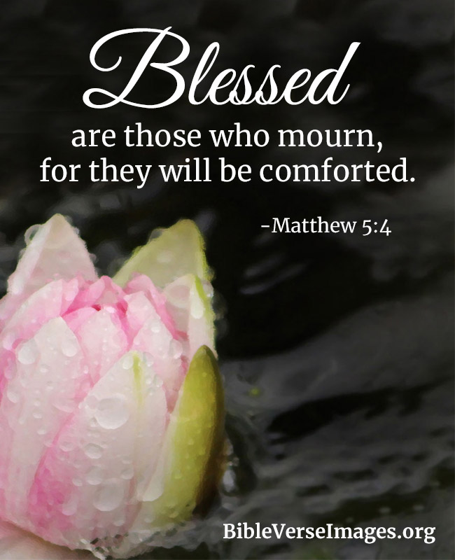 Comforting Bible Verse - Matthew 5:4