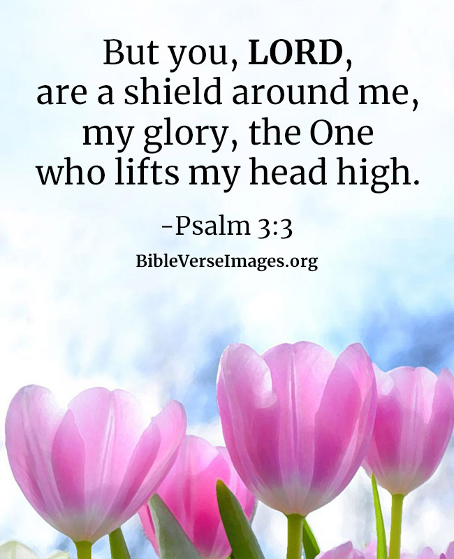 Comforting Bible Verse - Psalm 3:3