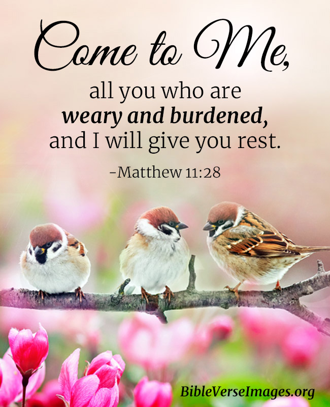 Encouraging Bible Verse - Matthew 11:28