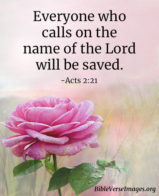 Bible Verse about Faith - Acts 2:21