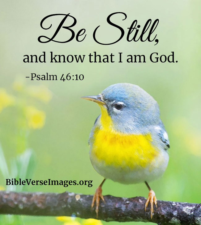 Bible Verse about Faith - Psalm 46:10