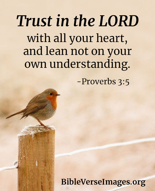 Bible Verse about Faith - Proverbs 3:5