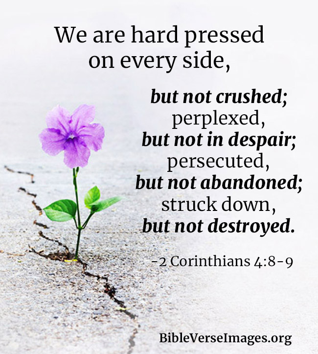 Bible Verse about Hope - 2 Corinthians 4:8-9