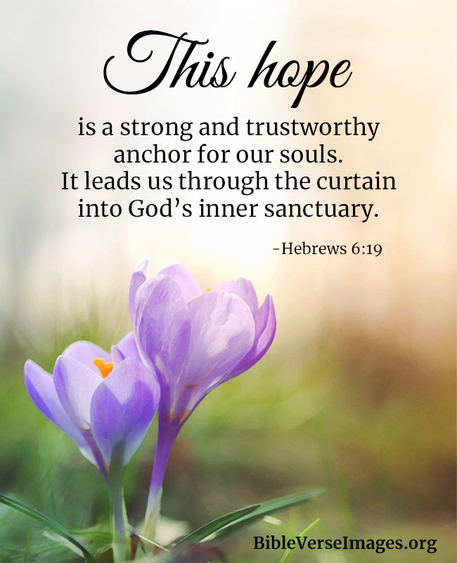 Bible Verse about Hope - Hebrews 6:19 