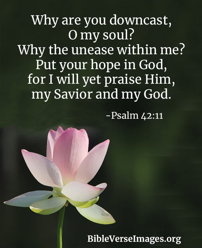 Bible Verse about Hope - Psalm 42:11