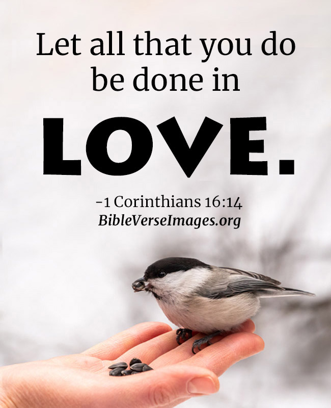 Bible Verse about Love - 1 Corinthians 16:14