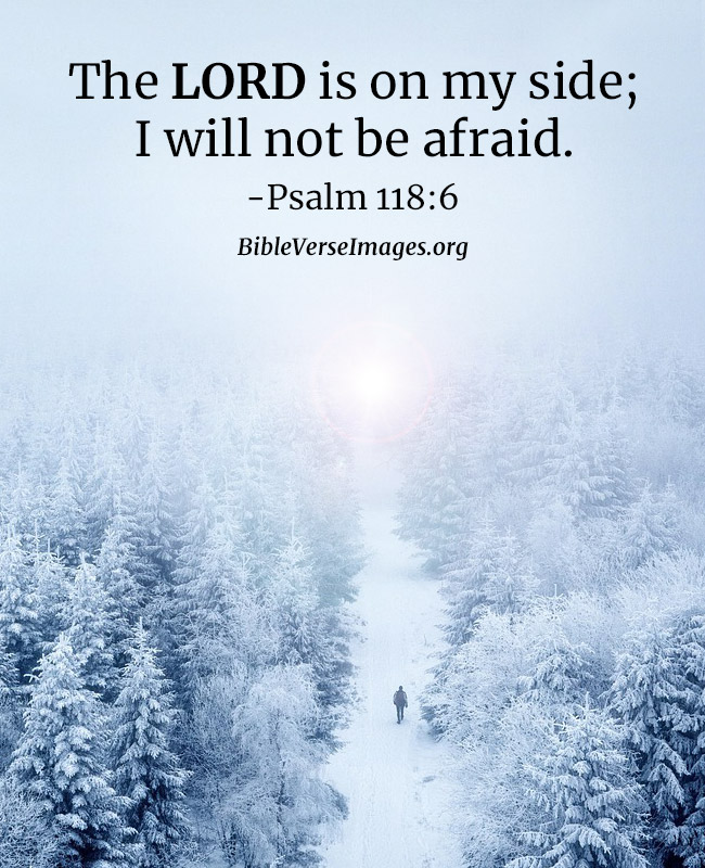 Bible Verse about Protection - Psalm 118:6