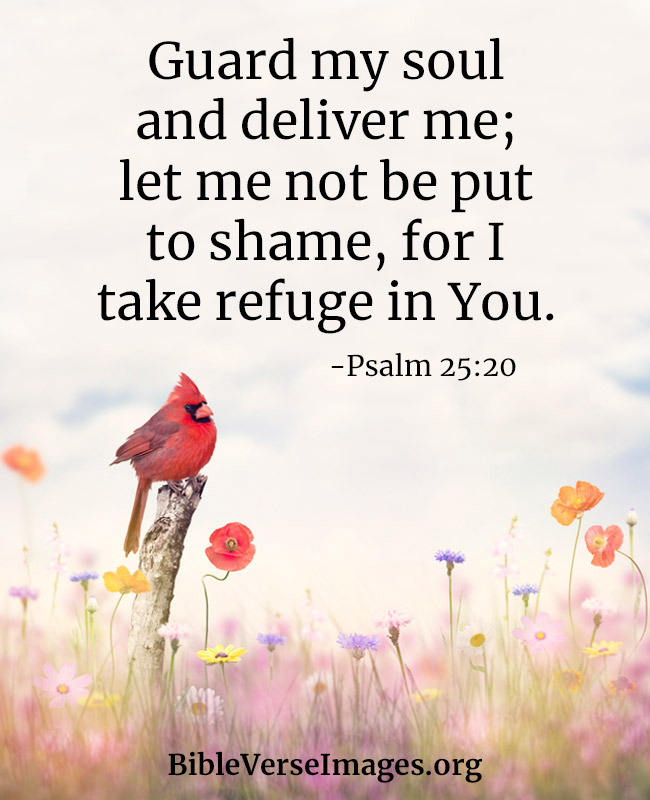 Bible Verse about Protection - Psalm 25:20