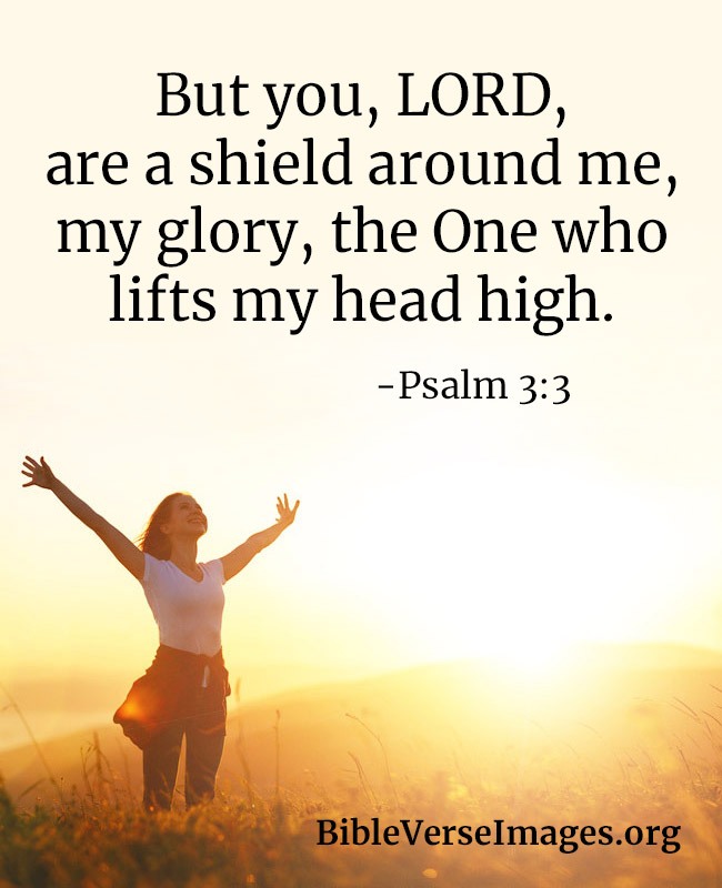 Bible Verse about Protection - Psalm 3:3