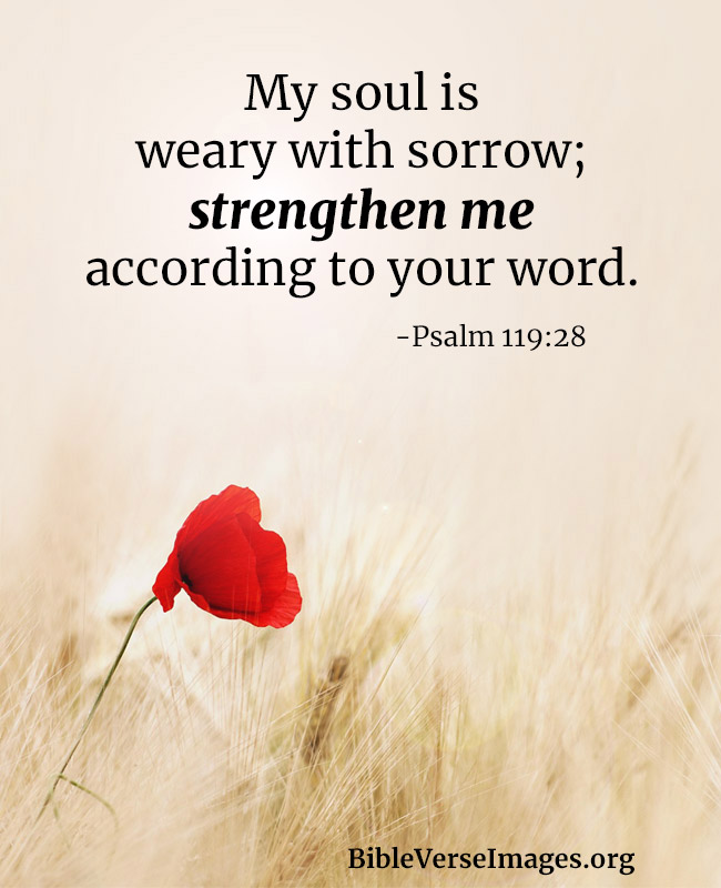 Bible Verse for Strength - Psalm 119:28